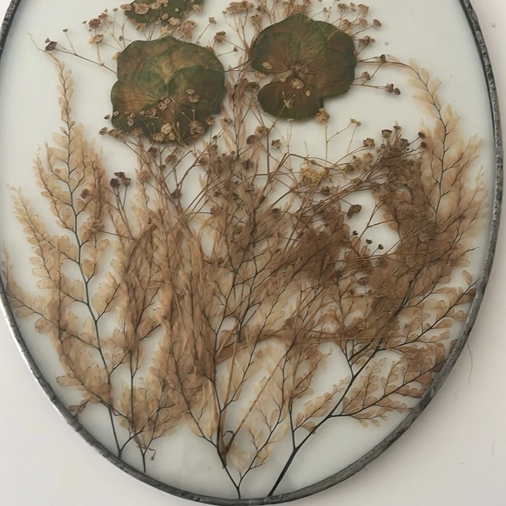 Wall Art dried butterflies and flowers Set of 2
